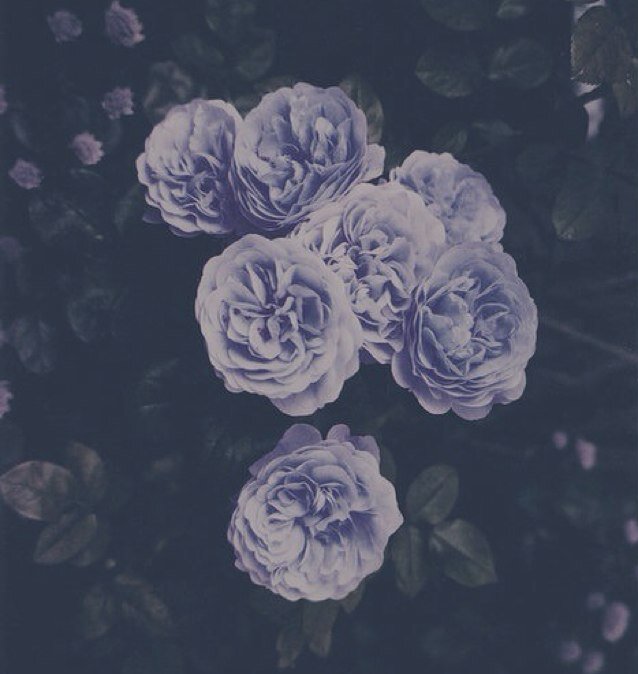 latenitesnakey's profile picture. Talk to me. I like Juliet Simms, Late Nite Reading and Marina and the Diamonds. Kik: idontwannafadeaway