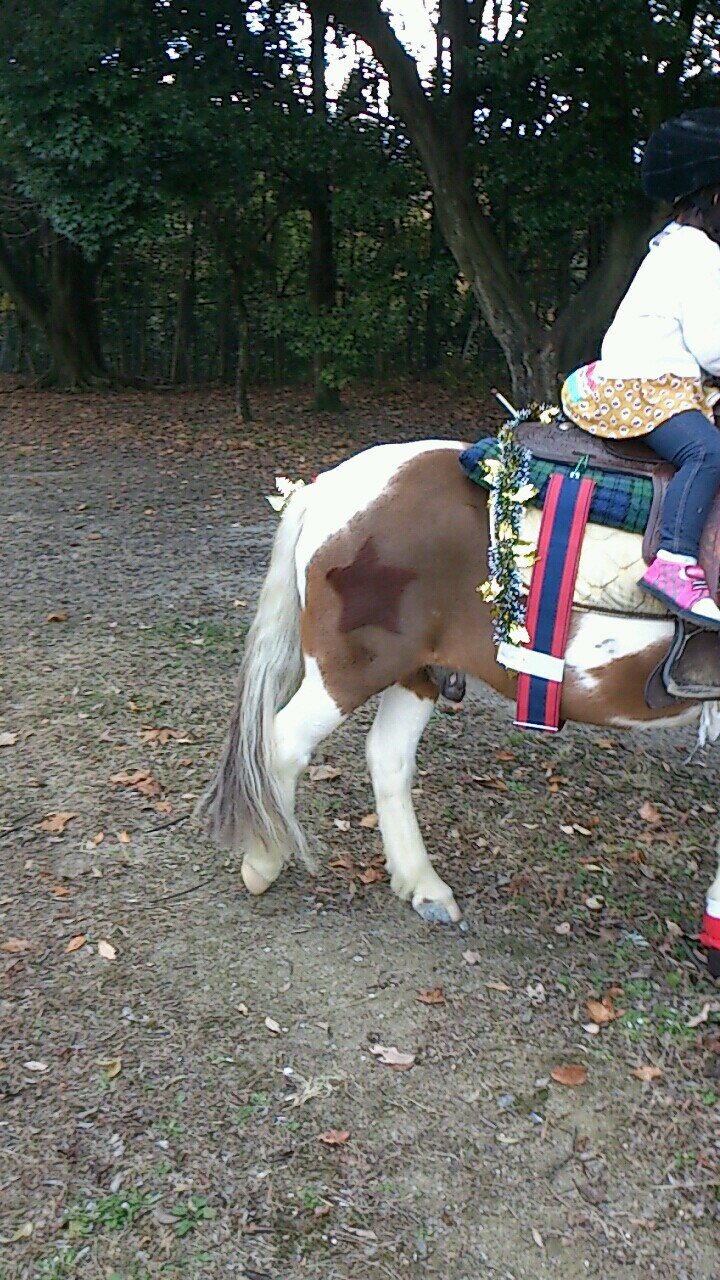 e_mama_e's profile picture. 👧👦👦のママ🚺自宅ネイルサロン（子育てしながらなので新規は紹介のみとなります🙏）💅美容💄✨美味しい物🍽️🍻大好き❤️