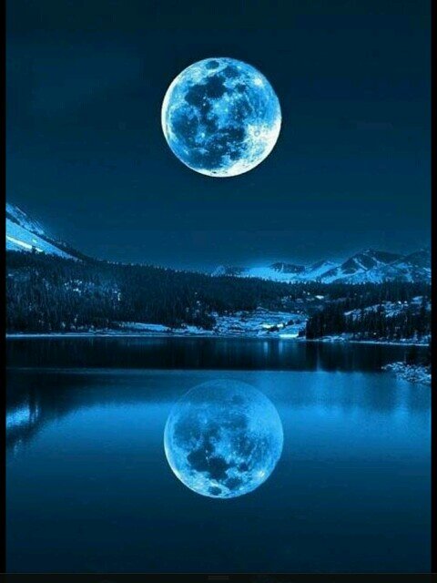 KinGReffaCheffa's profile picture. 