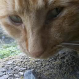 isLandcenter's profile picture. 非番のエンジニア - フリーです。 暇な時は SUSE Linux などをつついています。元、FC東京、お膝元。今は北海道在住。#PD