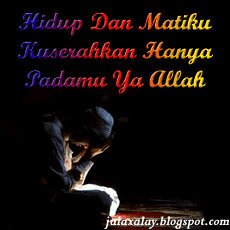 Cari teman