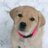 dewittloretta's profile image