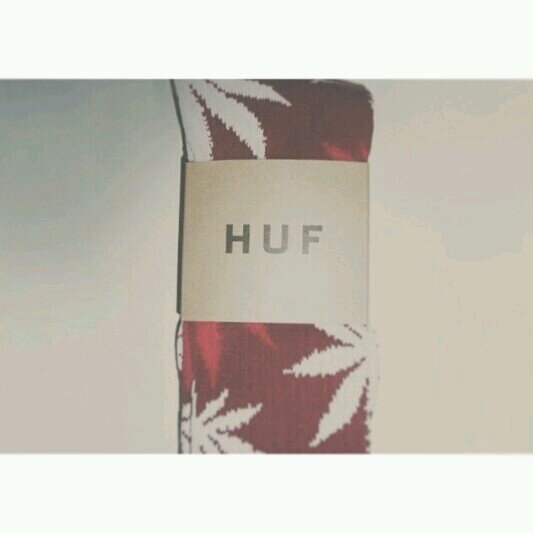 240_posterize's profile picture. 