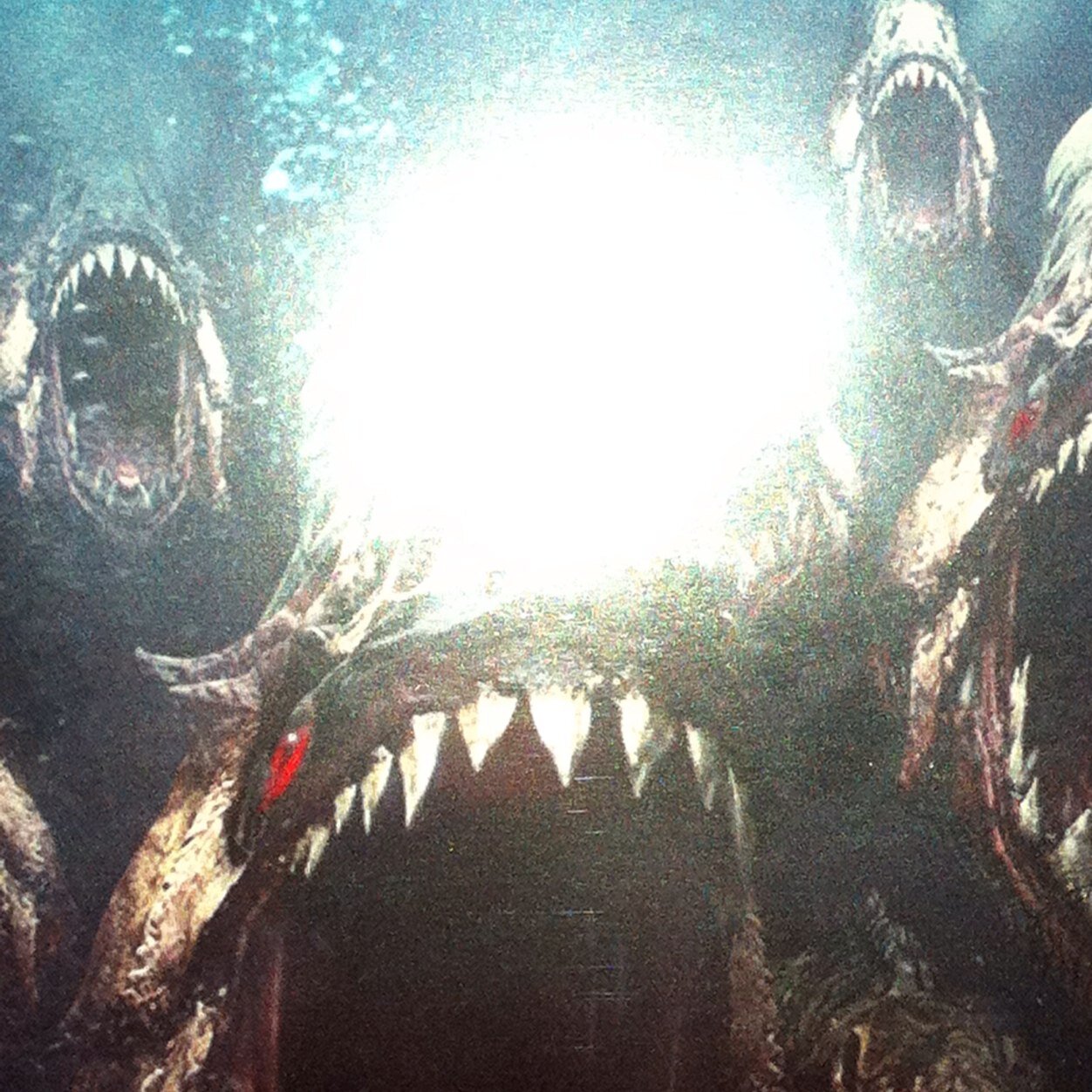 drach1234567's profile picture. 