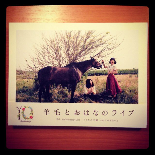 羊毛とおはなさんのプロフィール画像