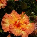 Tracy Ayala - @TracyAyala14 - Twitter