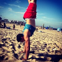 baloo the bear (@frankiefeaster) 's Twitter Profile