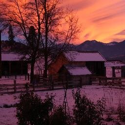 scottriverranch's profile picture. Northern California Rancher, 100% organic grass fed, beef in the shadow of the Marble Mountains