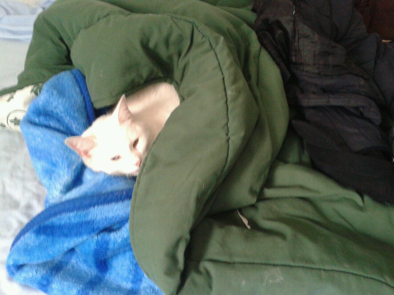 573jmc's profile picture. 