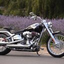 Ron Walls - @boylerebels1 - Twitter