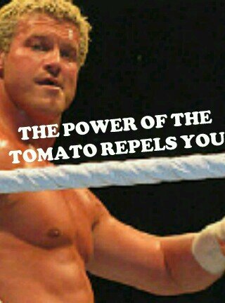 DolphZiggs's profile picture. 