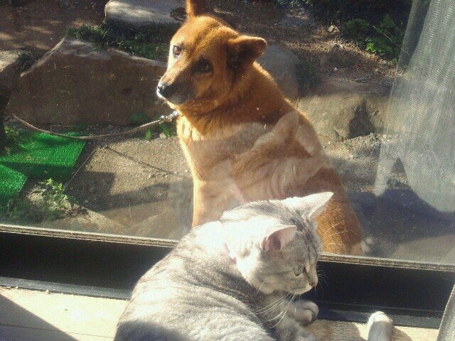 mieda0_9's profile picture. 