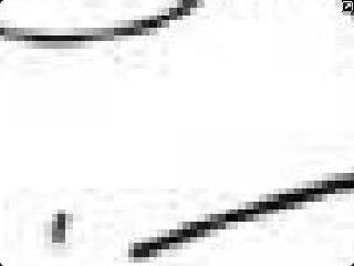 Spammer Auto Tweet
