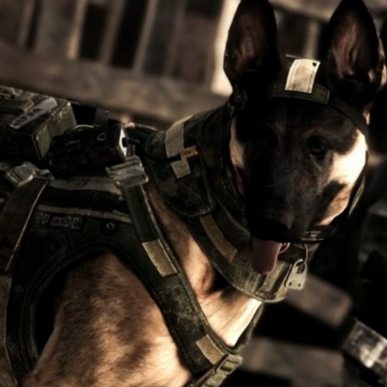 vN_Magicz's profile picture. |Dont let People put you Down Just Try| Magicz~