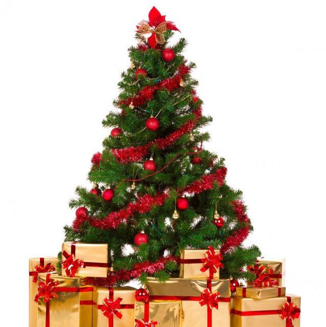 All i want for Christmas is a big booty hoe