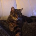 katrina pugh - @katp10 - Twitter