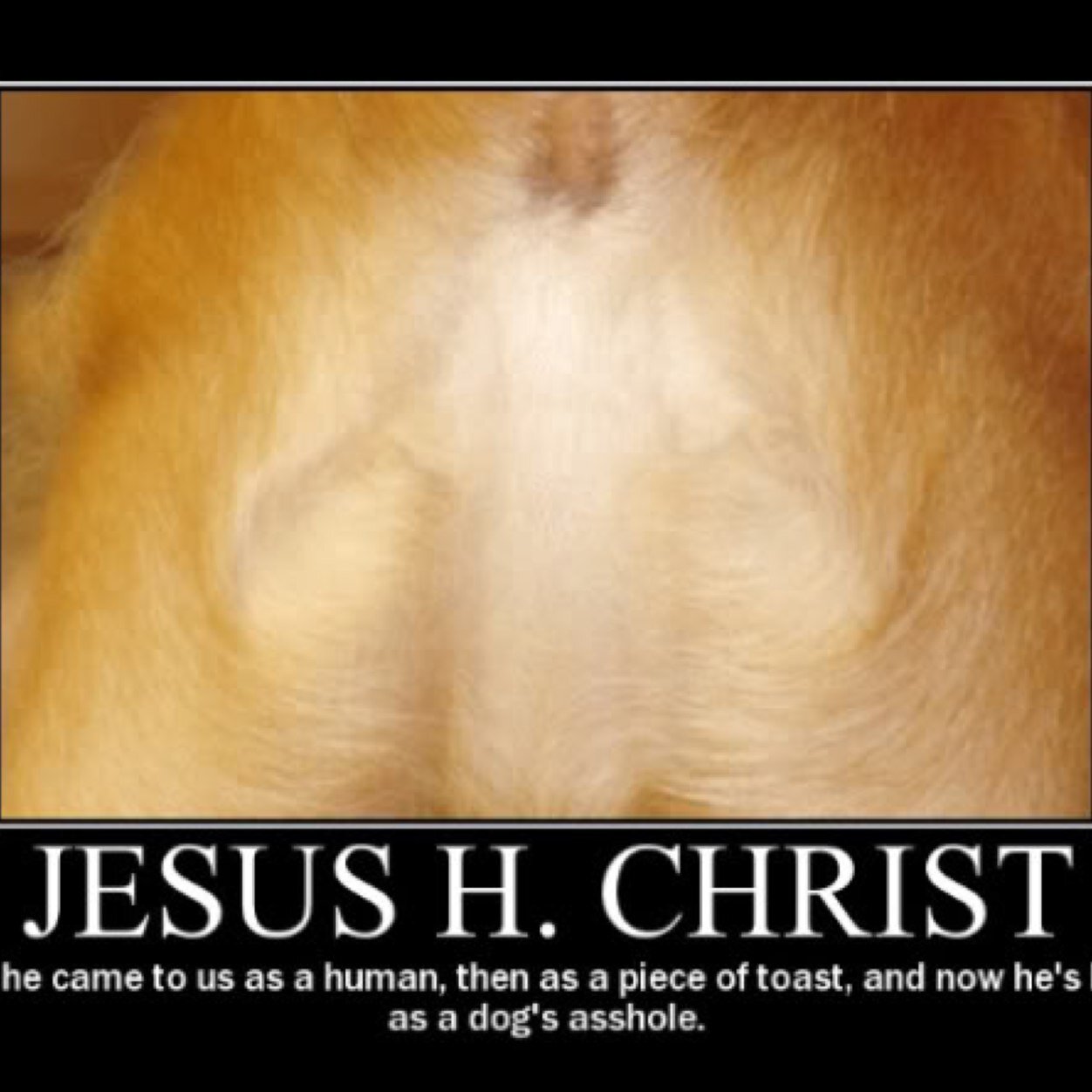 bahotiti's profile picture. 