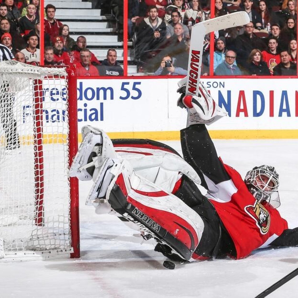Informerar om matcher, mål, trejder och liknande som berör Ottawa Senators!
Ge Freddy chansen!