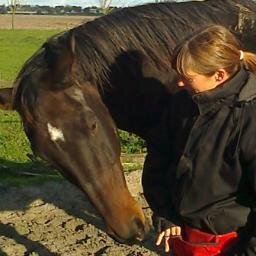 Van stad naar “buiten”, met o.a. paarden, kippen, geiten en moestuin | verkoop Bio Ron biologische diervoeders en natuurlijke meststoffen | bouw websites