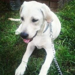 cemile_ozsen's profile picture. 