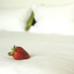 WasserbettFans's profile picture. 