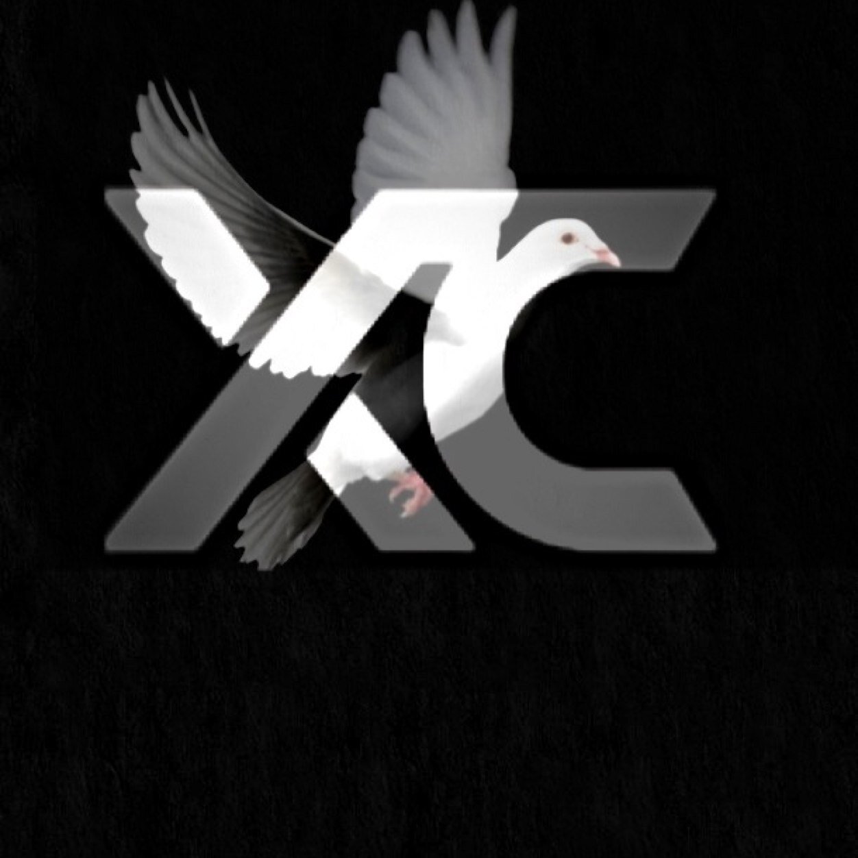 I'm Dove/josh, I'm leader of Xtraction clan follow them @xtraction_clan we need some leaders. Currently recruiting, message josh.flaherty on kik