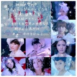 中２です。。たま～～～～に呟きます。無言フォローあります！！よろしくです(●´∀｀●)