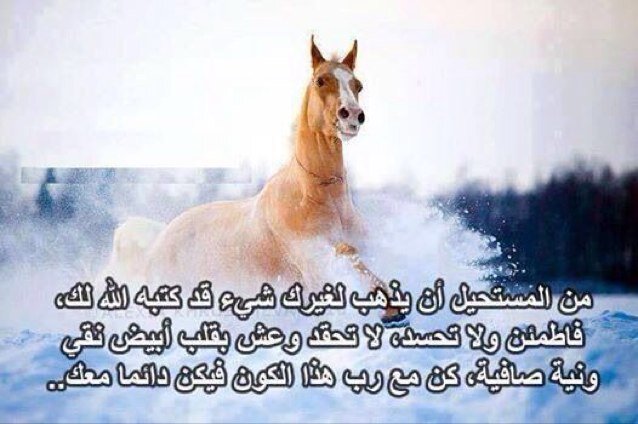 سلام رديتن تطلعبنا فوق فوق// والي تزل قدمه يطيح في الهاويه. 7575aeab
: آنشهد إن الحب توجع توآإليه ..!!
يـآإعزتي لمن يبتلش فيه عزآإه ..!!
آمـآإ ذبحه