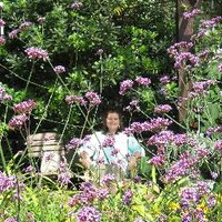 Laura Gill (@giraffepraxis) 's Twitter Profile