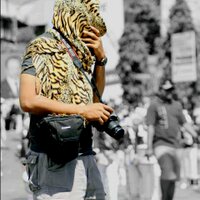 Nelayang (@fikar_hars) 's Twitter Profile