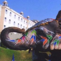 ElephantFunAmer's profile picture. ElephantFun is perfect adventure to enjoy holiday. Elephant riding  Services full of enjoy entertainment and pleasure. It also gives you taste of royalty.