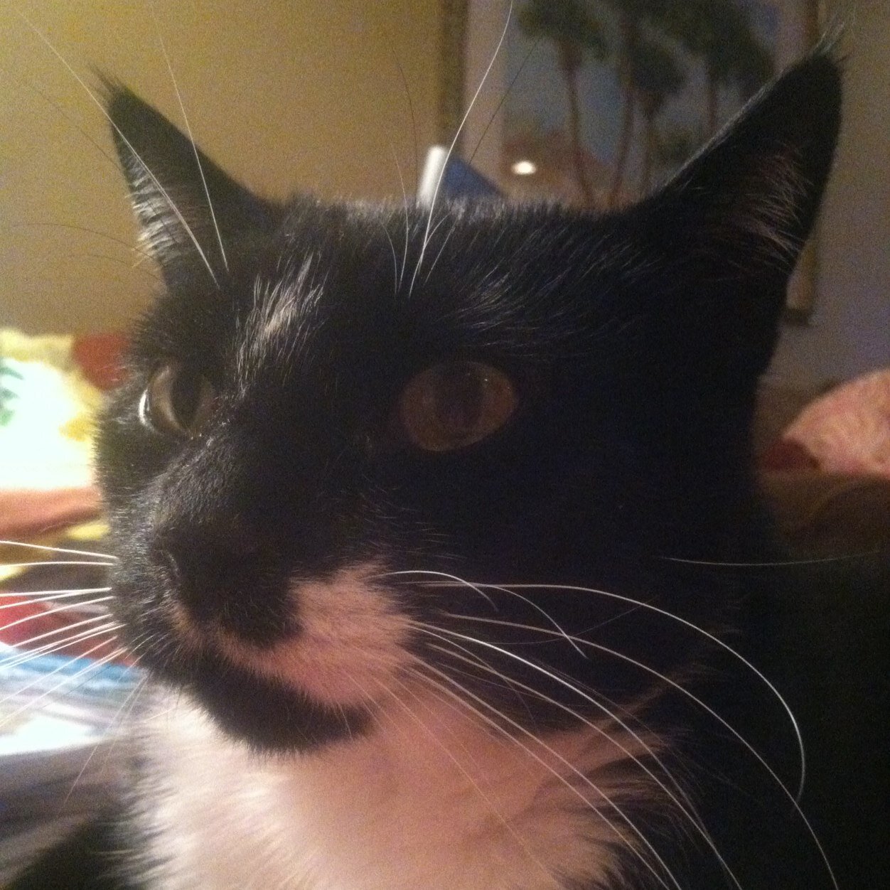 michellesmurray's profile picture. Believer, mom, wife, teacher