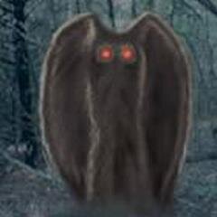 謎の生き物画像さんのプロフィール画像