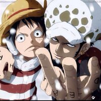 のえい@ONEPIECE専用垢 (@trafalgarlufy) Twitter profile photo
