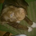 Rick Moyer - @rickmoyer69 - Twitter