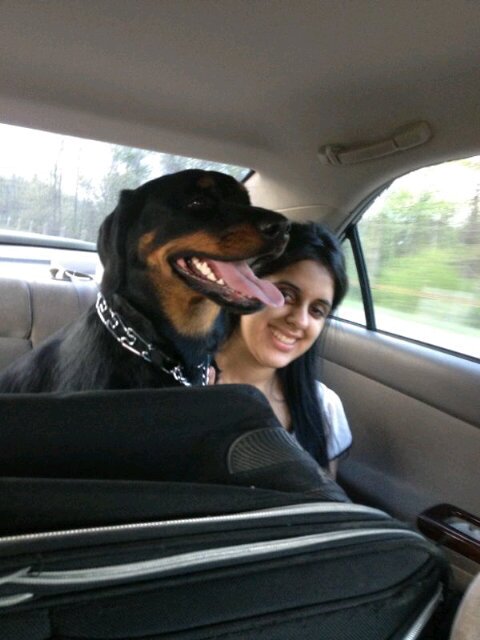 Roo rapa diddly uppa doo daata dee uppa -Guess the tune I am singing.