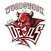 WCI Red Devil (@wcireddevil) Twitter profile photo