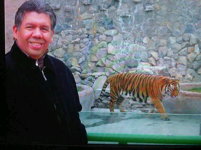 rafael041976's profile picture. Trabajador