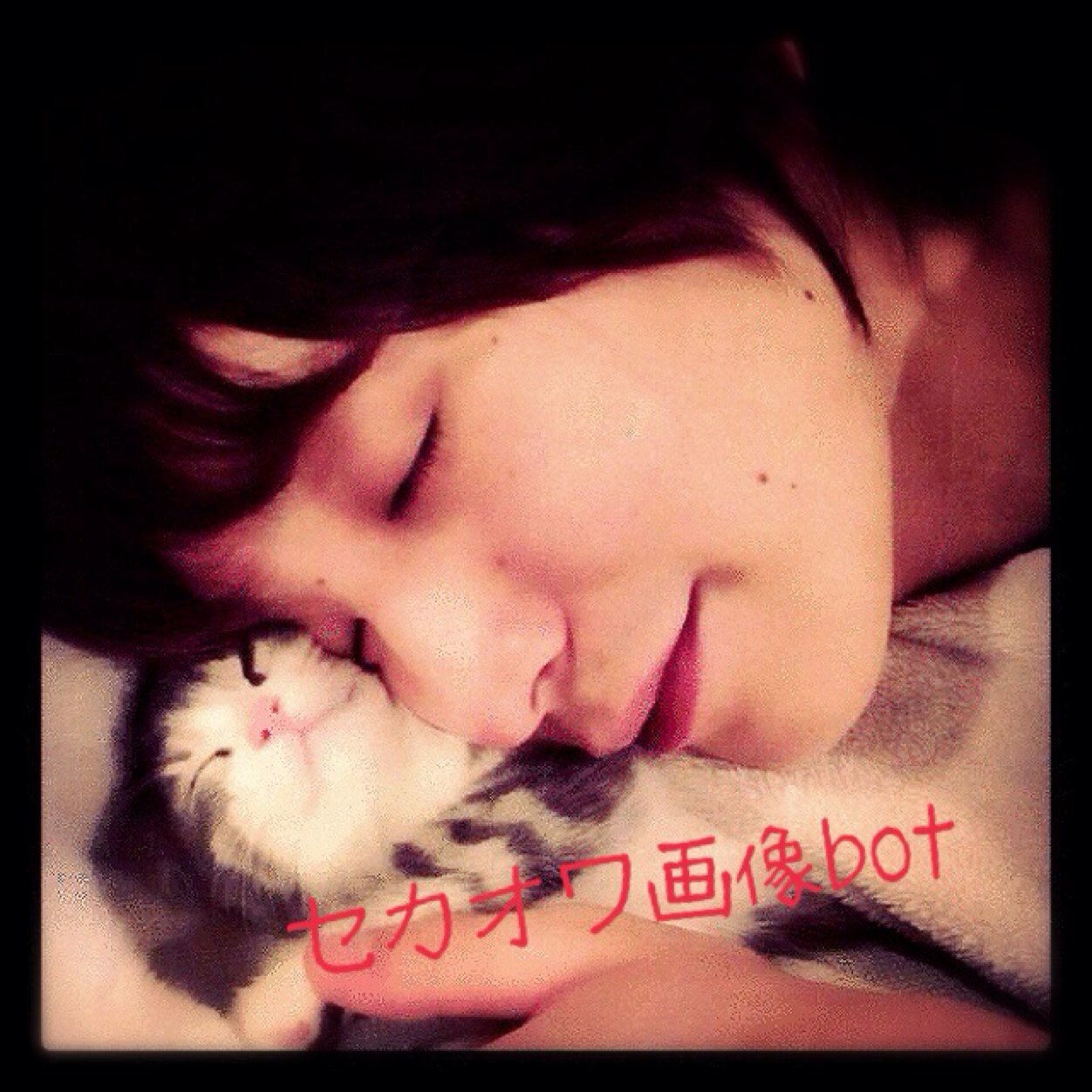 セカオワ画像bot Auf Twitter テラスハウスのパロディ ペロペロハウスがやばいｗｗ 共同生活してて女の子がいきなりフェ しだす 全編動画 Http T Co Vllsniozfa Http T Co Uvhql160x0