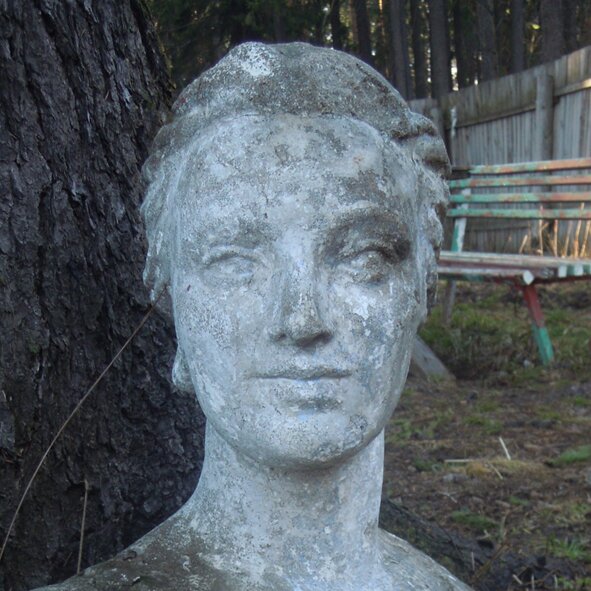 dvakotado's profile picture. 