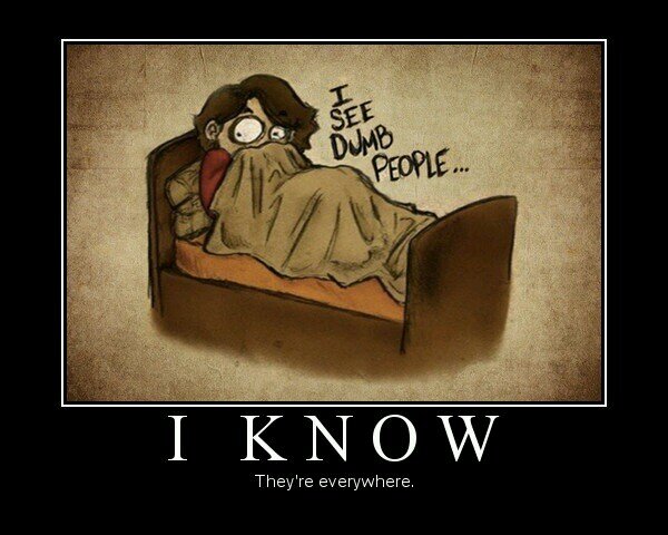 OnSomeDumbShit's profile picture. Warning......I have a low tolerence for stupidity!