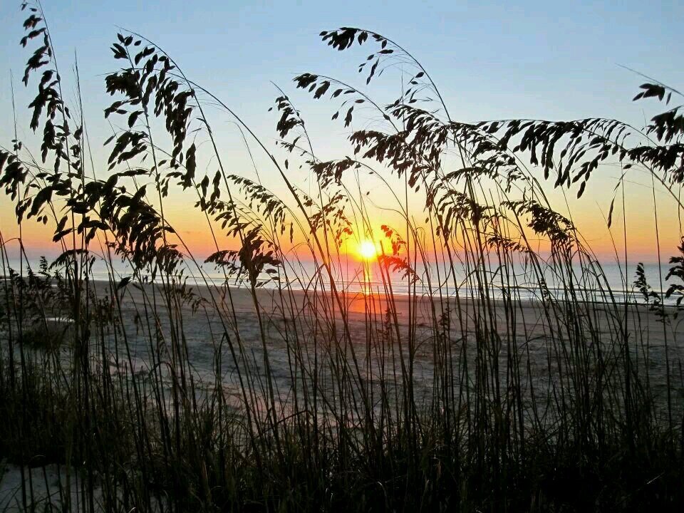 Kimee5's profile picture. 