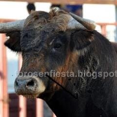taurino de por vida y a liarla por mis pueblos     TOMELLOSA