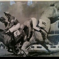 Ned Buckley (@edwardbuckley99) 's Twitter Profile