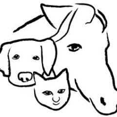 Forever Pet Care is the advanced pet trust program built to guarantee your #horses #cats #dogs are forever cared for when you're gone