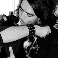 Russell Brand's Cat (@russellbrandcat) 's Twitter Profile
