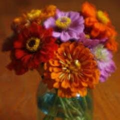 AthensGAdawg's profile picture. 