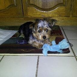 franklinjbob's profile picture. 