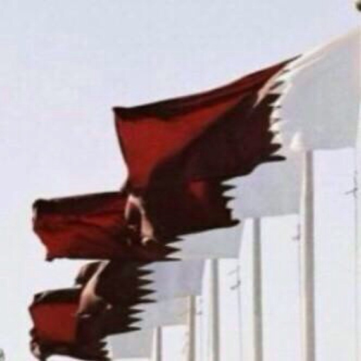 @Qatar university, Business & Economy college studying Finance. Employee in Q-chem. Kik: maldossari