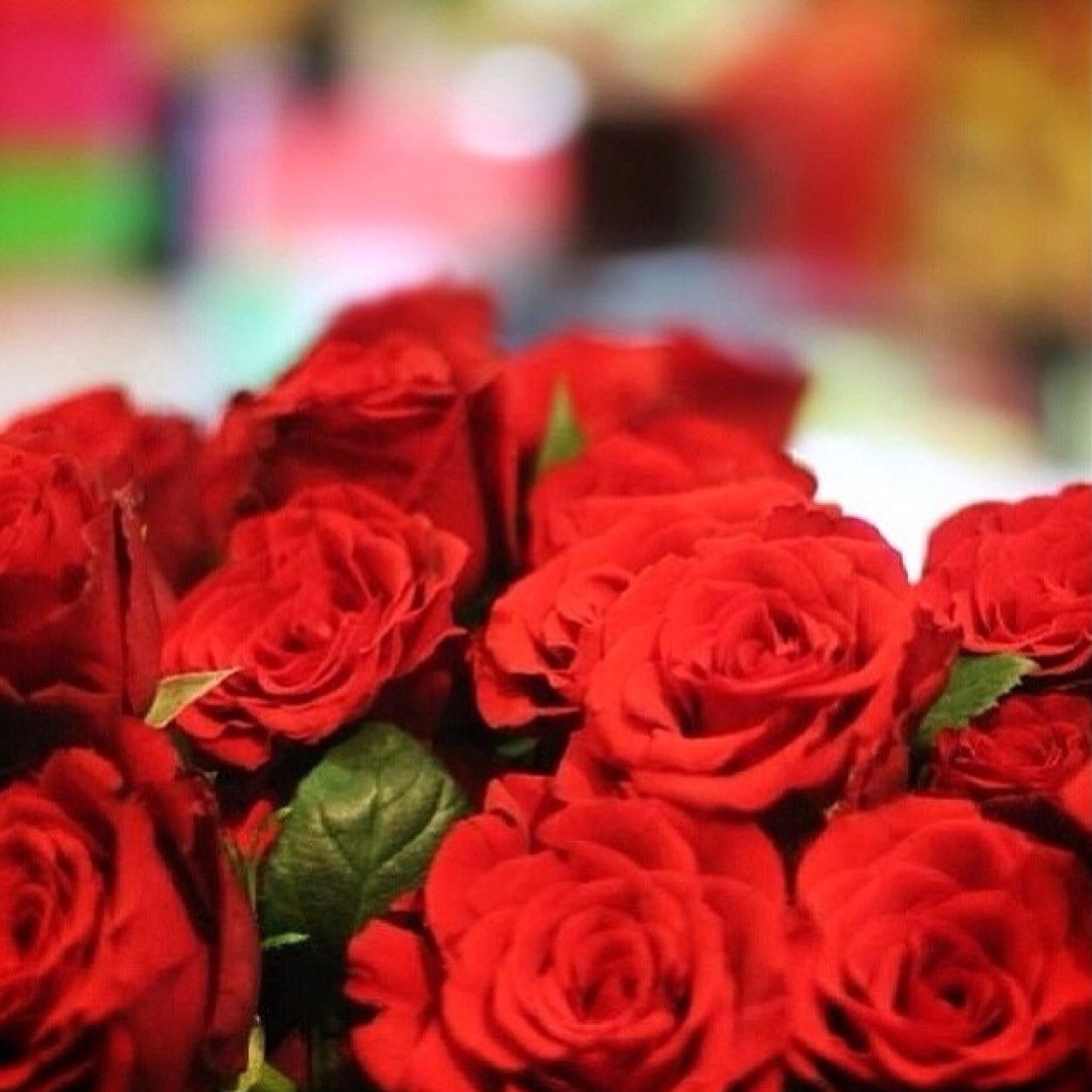 asmo0oo_2's profile picture. 